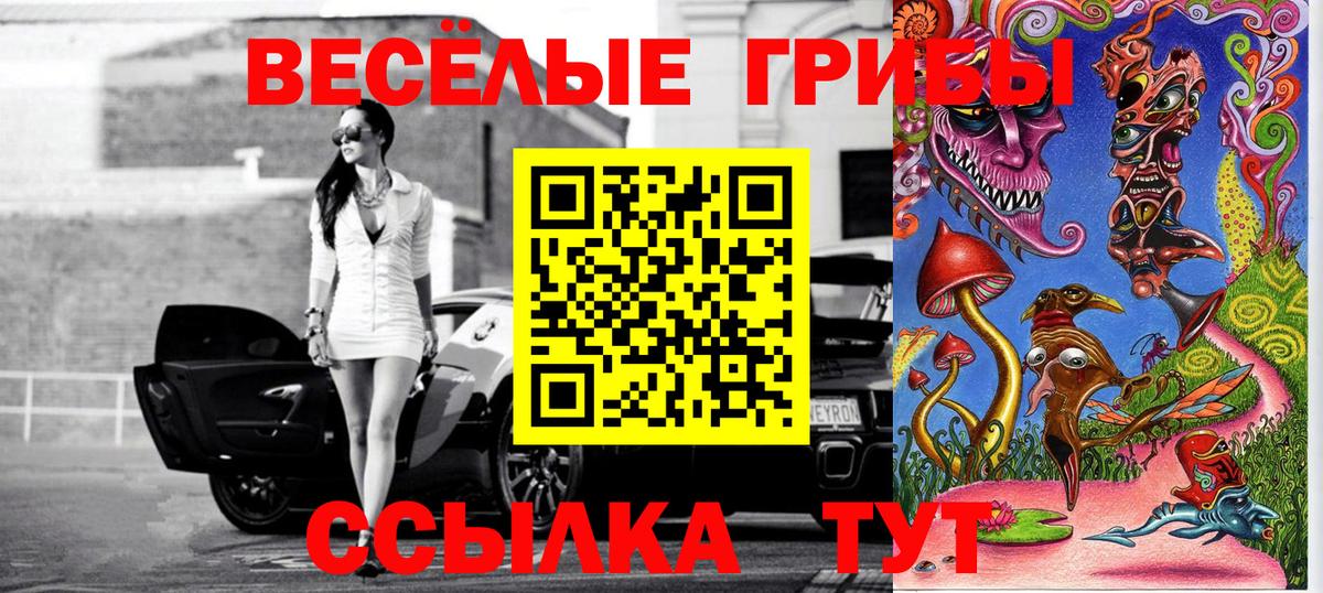 Можайск  наркота  Вход с VPN  Галлюциногенные грибы Cubensis 